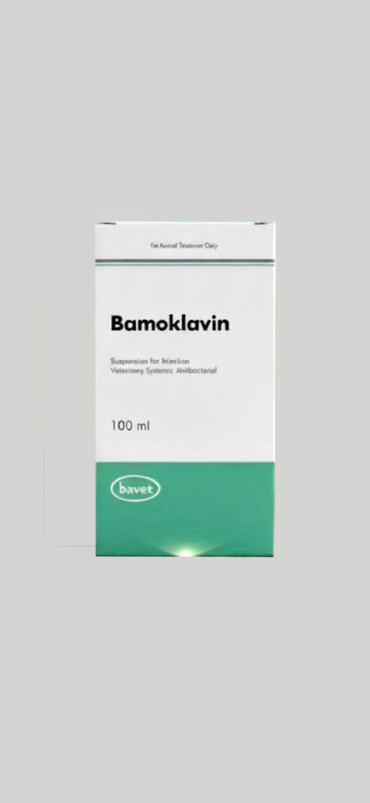 Bamoklavin (100 ml)