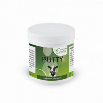 Putty (500G)