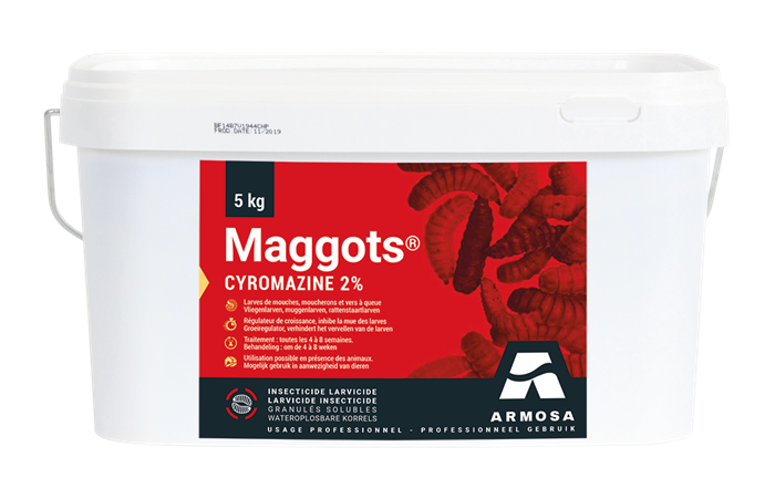 Maggots (5KG)