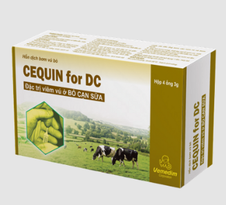 Cequin for DC (3g syringe)